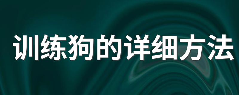 训练狗的详细方法 训练狗的基本方法