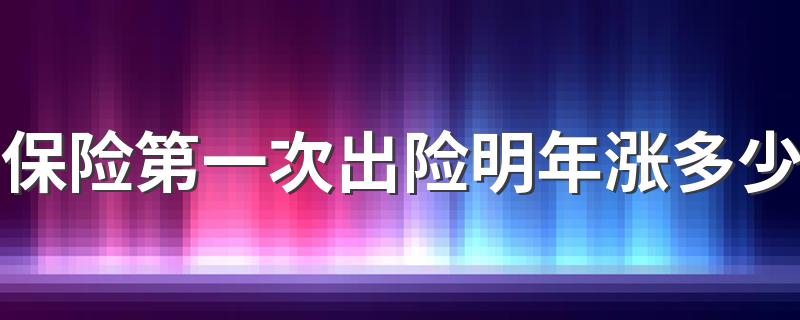 保险第一次出险明年涨多少 具体规定介绍