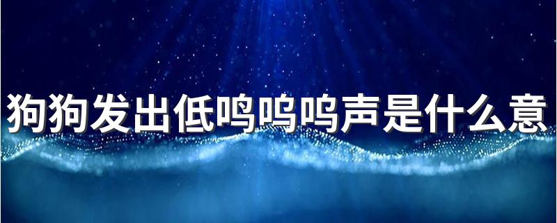 狗狗发出低鸣呜呜声是什么意思 狗狗发出低鸣呜呜声的意思