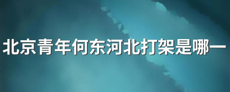 北京青年何东河北打架是哪一集 你有看过吗