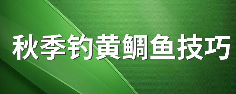 秋季钓黄鲷鱼技巧 秋季钓黄鲷鱼技巧介绍