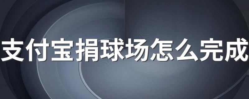 支付宝捐球场怎么完成 支付宝捐球场完成方法