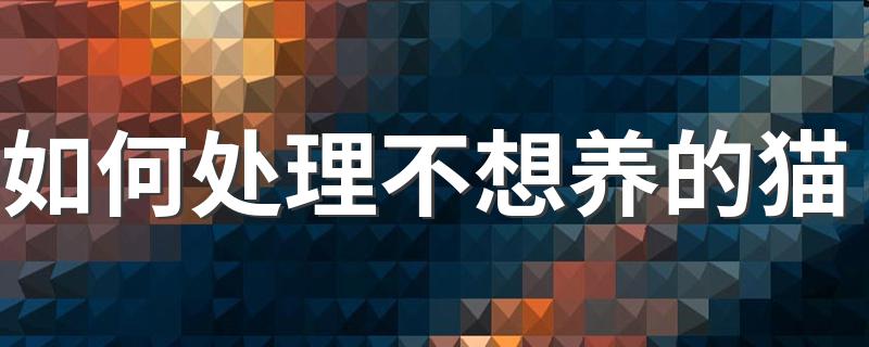 如何处理不想养的猫 不想养猫了怎么办