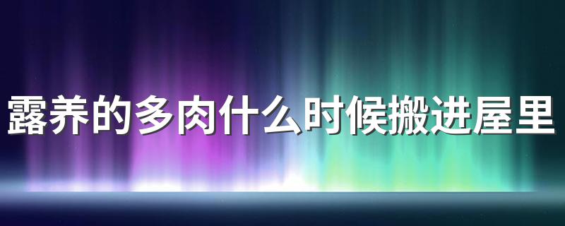 露养的多肉什么时候搬进屋里 露养的多肉什么时候搬进屋里合适