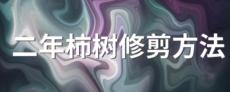 二年柿树修剪方法 柿树怎么整形修剪？