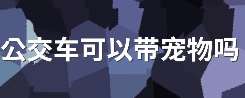 公交车可以带宠物吗