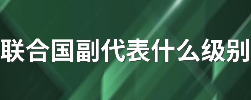 联合国副代表什么级别 常驻联合国代表是什么意思和联合国副代表是什么级别