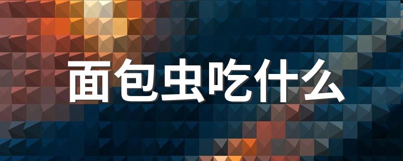 面包虫吃什么 产自那个国家呢