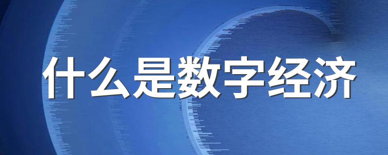 什么是数字经济 关于数字经济的简介