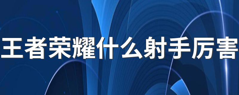 王者荣耀什么射手厉害 版本强势英雄竟然是他