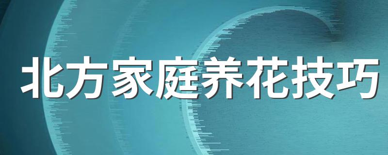 北方家庭养花技巧 北方家庭养花技巧简述