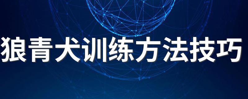 狼青犬训练方法技巧 狼青犬训练的方法