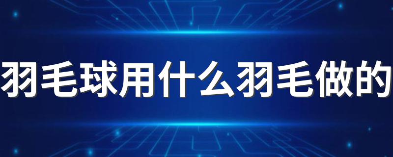 羽毛球用什么羽毛做的 哪种羽毛做的羽毛球