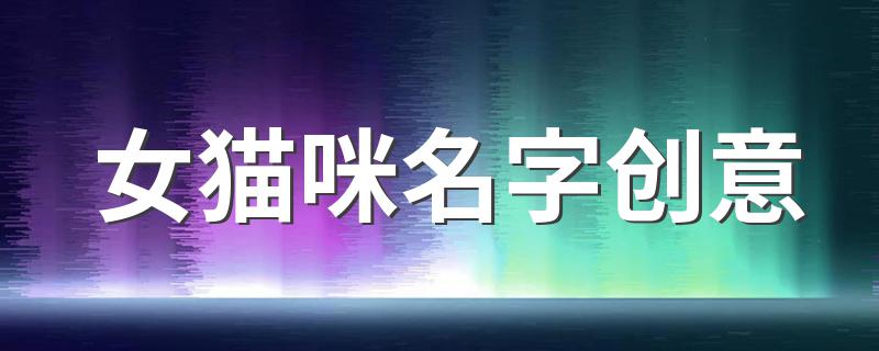 女猫咪名字创意 适合做猫咪的名字