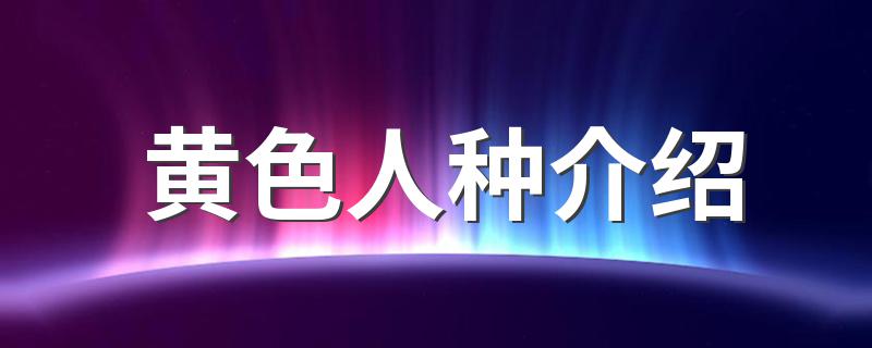 黄色人种介绍 点击了解一下