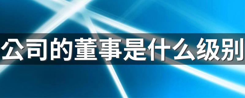 公司的董事是什么级别 公司董事是公司的高级管理人员