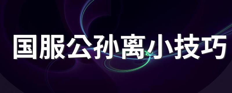 国服公孙离小技巧 国服公孙离小技巧有什么