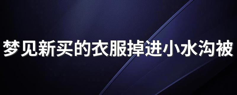 梦见新买的衣服掉进小水沟被水冲走 究竟代表什么意思呢