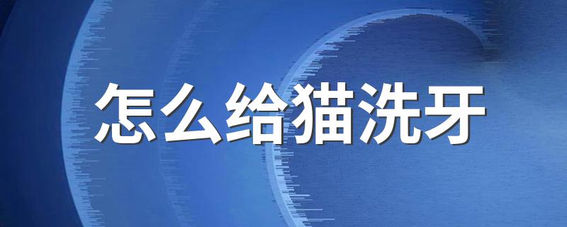 怎么给猫洗牙 具体清洗的步骤有哪些