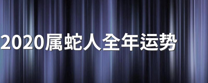 2020属蛇人全年运势 从4个方面解析