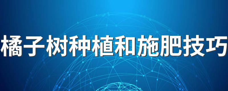 橘子树种植和施肥技巧 橘子树种植及施肥方法