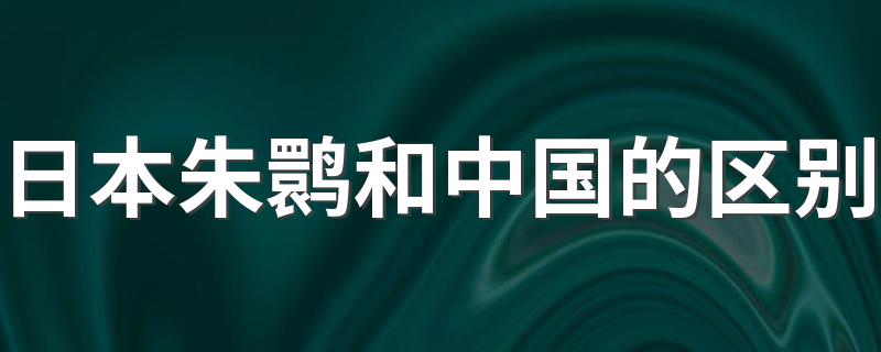 日本朱鹮和中国的区别 日本人究竟有多爱朱鹮