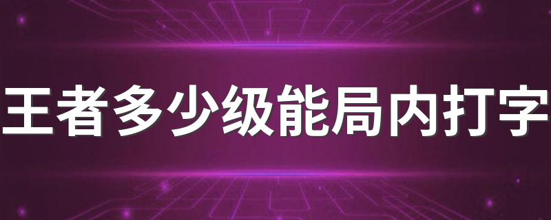 王者多少级能局内打字 大家可以看看