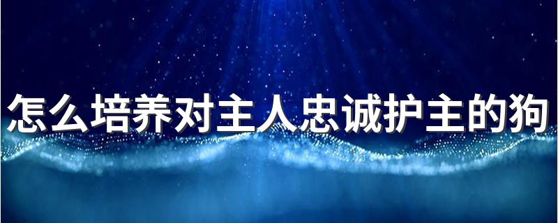 怎么培养对主人忠诚护主的狗 怎么培养狗对主人的忠诚