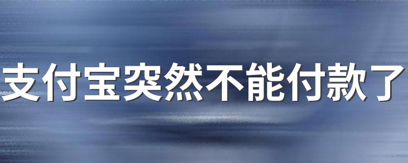 支付宝突然不能付款了 支付宝的付款功能不能用了什么原因