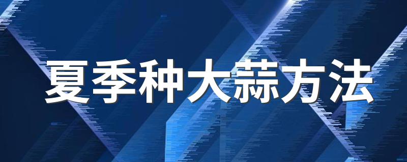 夏季种大蒜方法 怎样种大蒜