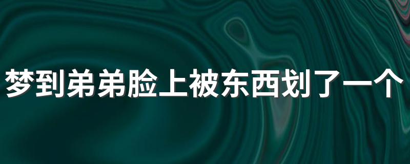 梦到弟弟脸上被东西划了一个口子 预示着什么呢