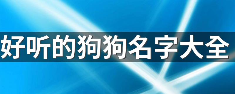 好听的狗狗名字大全 好听的狗狗名字有哪些