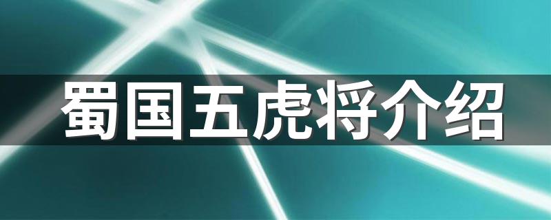 蜀国五虎将介绍 这里有具体介绍