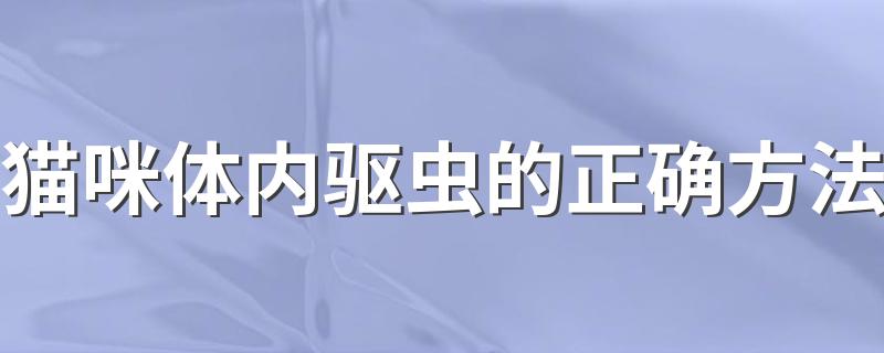 猫咪体内驱虫的正确方法 如何给猫咪驱虫