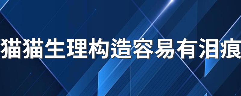 猫猫生理构造容易有泪痕 原因是什么