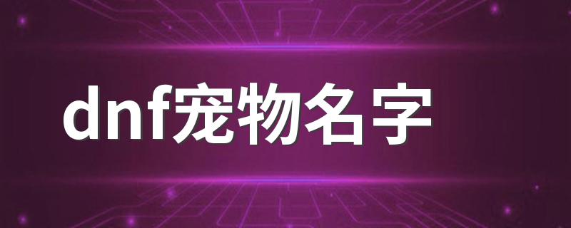 dnf宠物名字 dnf四字宠物名字