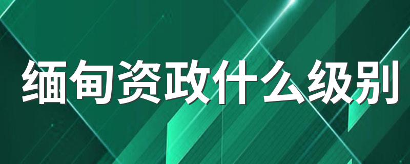 缅甸资政什么级别 国务资政在缅甸是个什么官