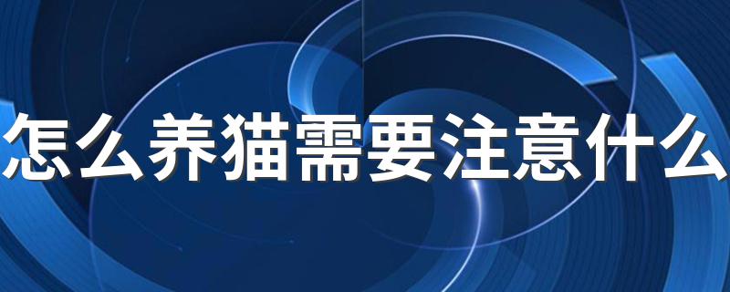 怎么养猫需要注意什么 养猫注意事项