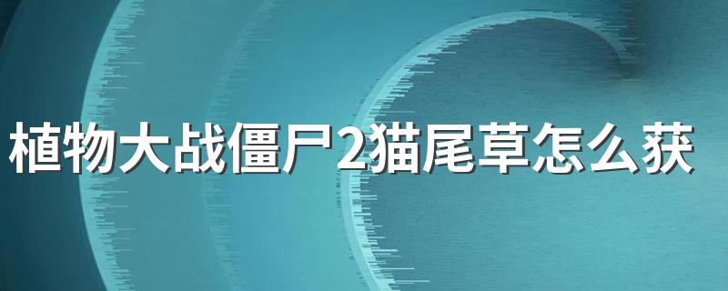 植物大战僵尸2猫尾草怎么获得 一看全知道