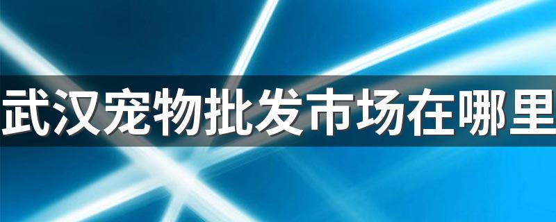 武汉宠物批发市场在哪里