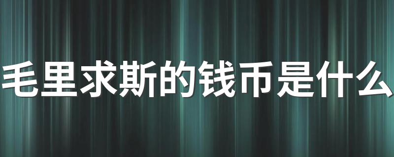 毛里求斯的钱币是什么 毛里求斯在哪里