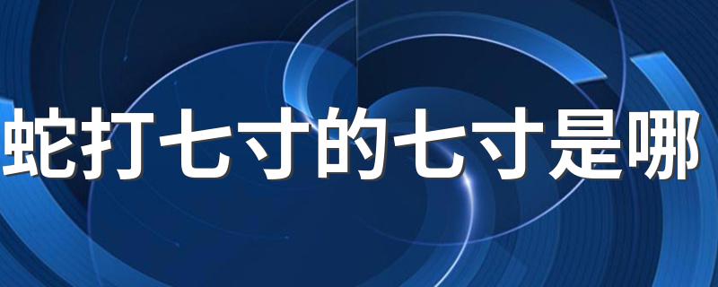 蛇打七寸的七寸是哪 打蛇打七寸蛇的七寸在什么地方