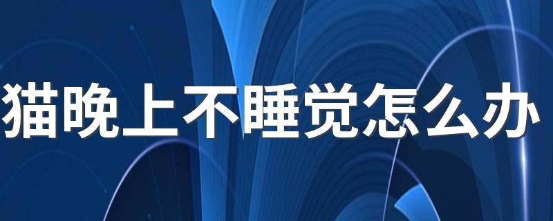 猫晚上不睡觉怎么办 怎么对付晚上不睡觉的猫