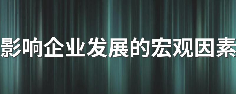 影响企业发展的宏观因素 影响企业发展的宏观因素简述