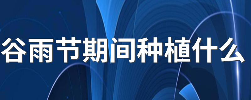 谷雨节期间种植什么 谷雨节后家里应该种些什么蔬菜？