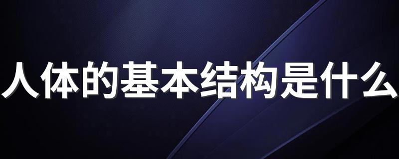 人体的基本结构是什么 都包括些什么呢