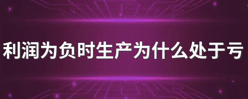 利润为负时生产为什么处于亏损状态? 是什么原因