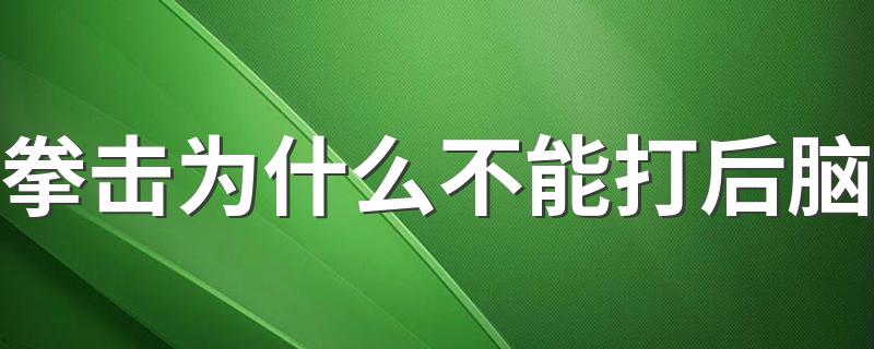 拳击为什么不能打后脑 会导致人死亡