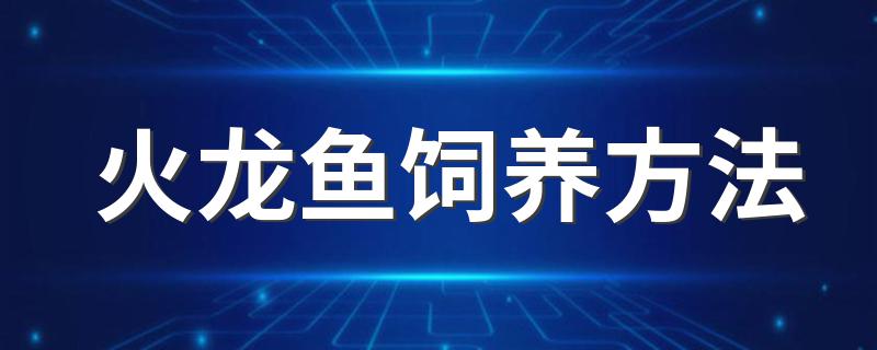 火龙鱼饲养方法 用哪种水质养最易活