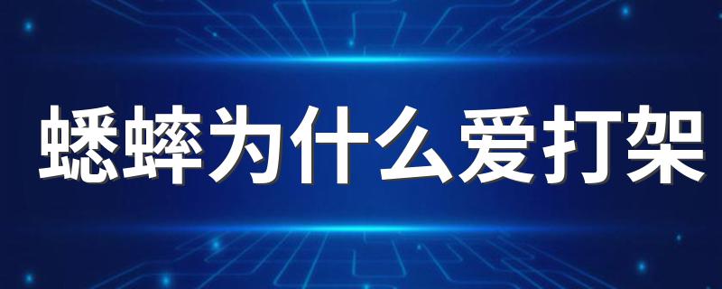 蟋蟀为什么爱打架 蟋蟀打架的原因